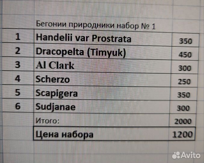 Наборы бегоний-природников