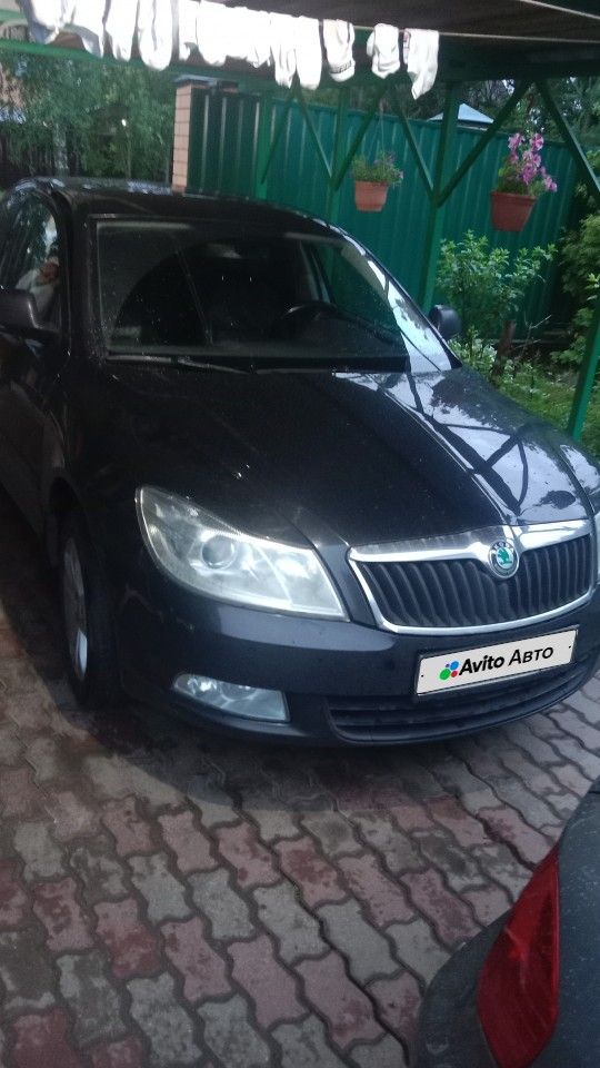 Skoda Octavia: фото владельца