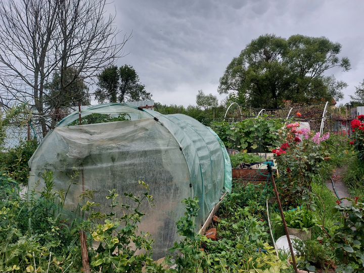 Дача 20 м² на участке 10 сот.