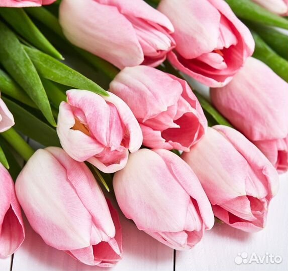 Букеты Цветы