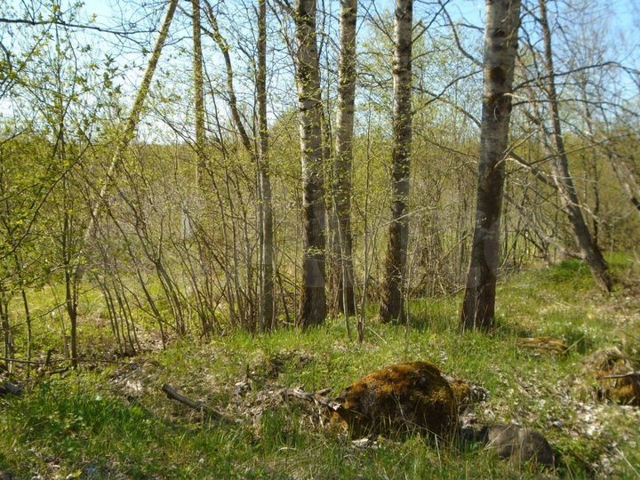 Участок 2,6 га (СНТ, ДНП)