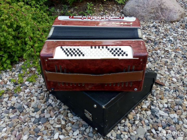 Баян Огонёк 2