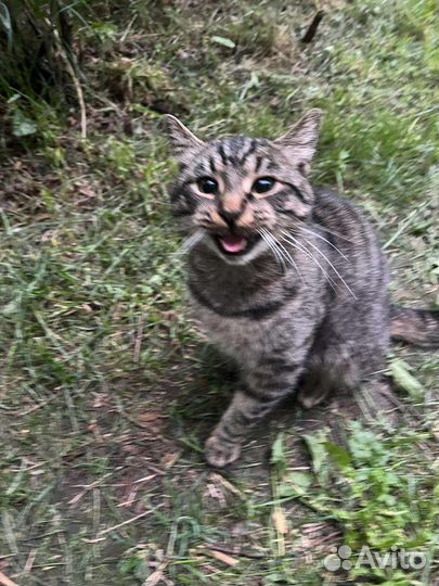 Меня бросили