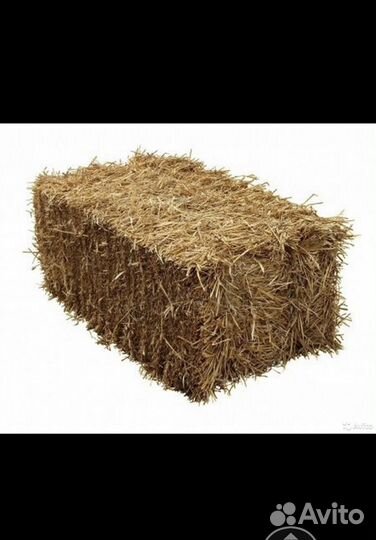 Сено солома в тюках