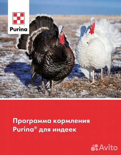 Комбикорм Пурина Тяжелый кросс индейка финиш 25-40