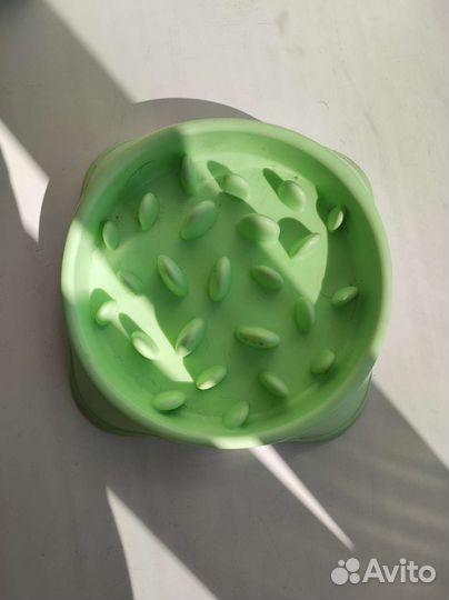 Ошейники, поводки для собак. Амуниция