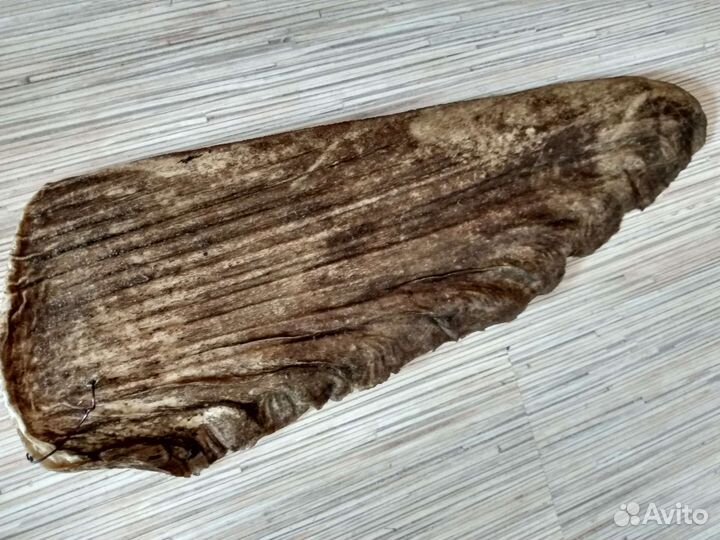 Плавник акулы