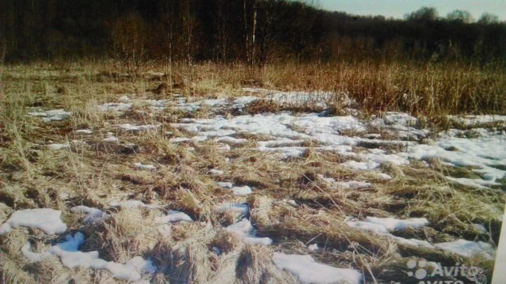 Участок 15 сот. (ИЖС)