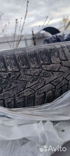 Nokian Tyres Nordman 7 195/55 R16 91T