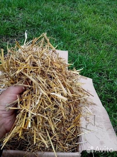 Солома в мешках измельченная (мульча соломы)