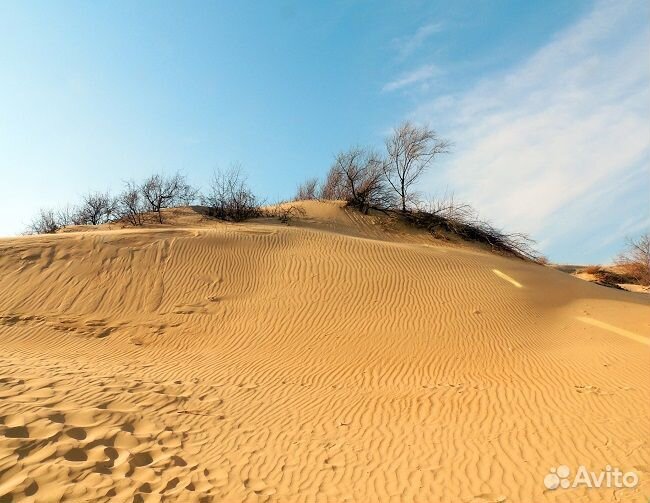 Купить песок любые объёмы без посредников