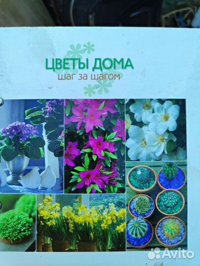 Книги о домашних растениях