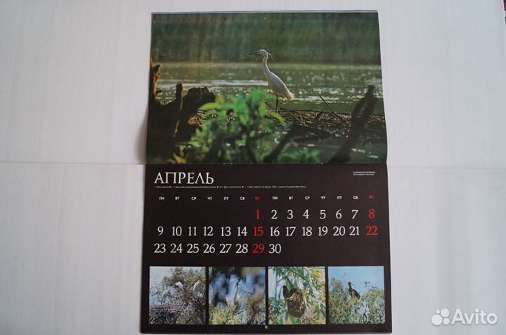 Календарь 