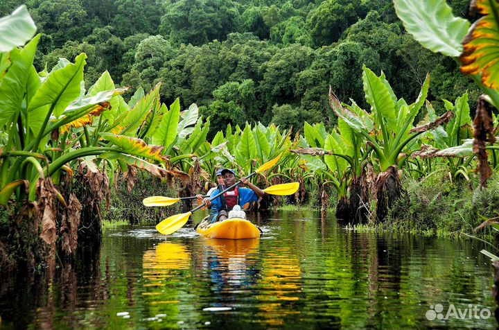 Путешествие на Мадагаскар : остров уникальных прик