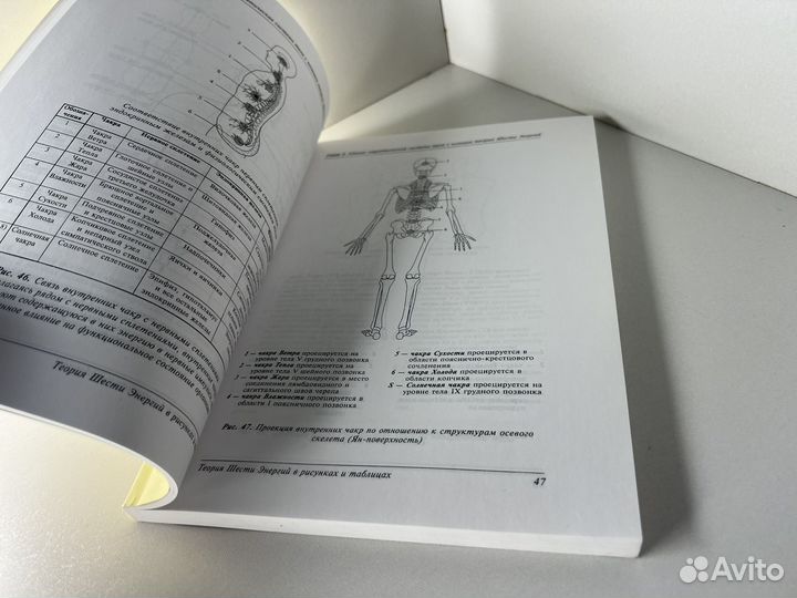 Теория 6 энергий в рисунках и таблицах, Пак Чже Ву