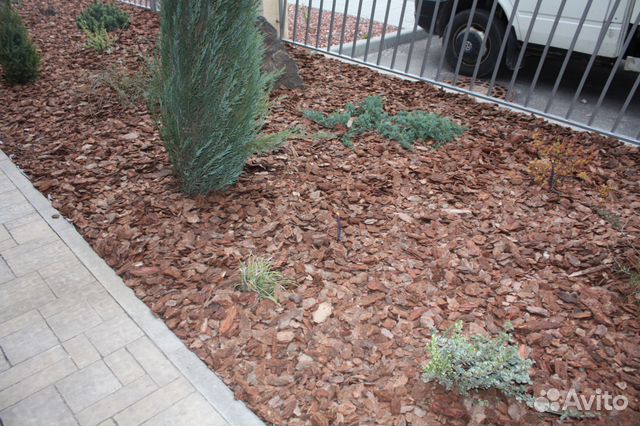 Кора, мульча лиственницы, сосны. 