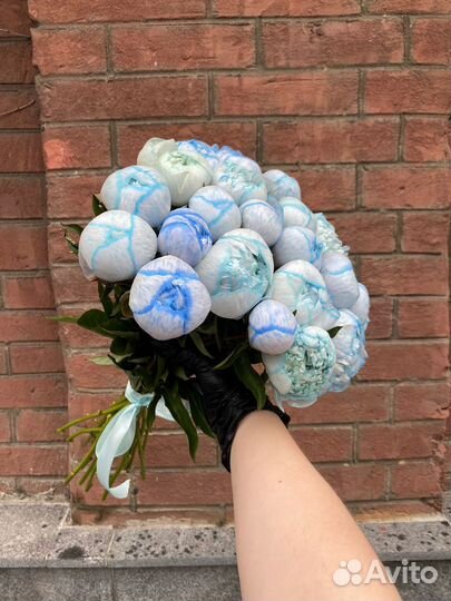 Букет из космических Пионов Цветы с Доставкой 24/7