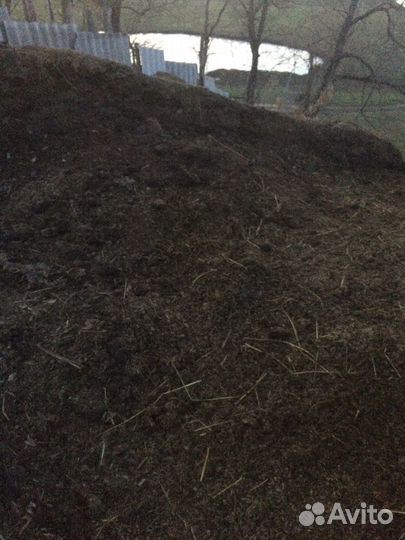 Конский перегной