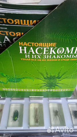 Насекомые и их знакомые