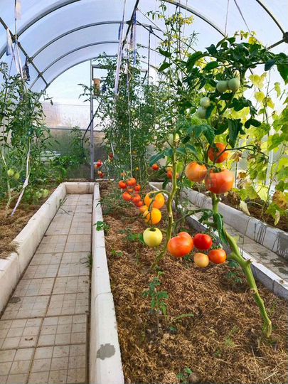 Дом 230 м² на участке 8 сот.