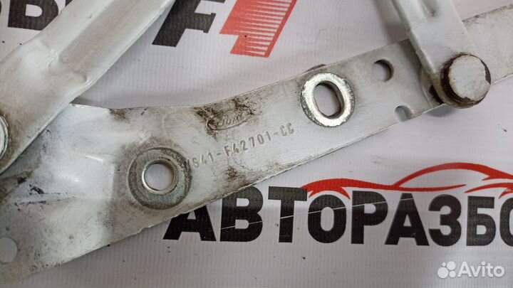 Ford Focus 2 Петли крышки багажника Седан