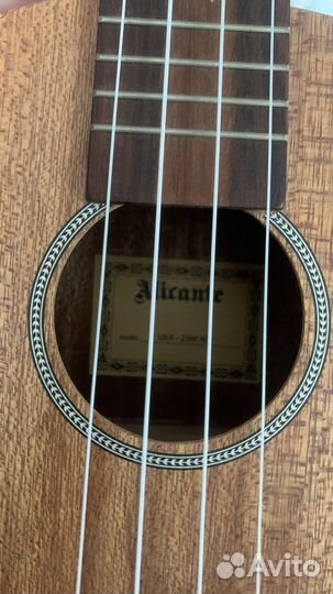 Укулеле концерт