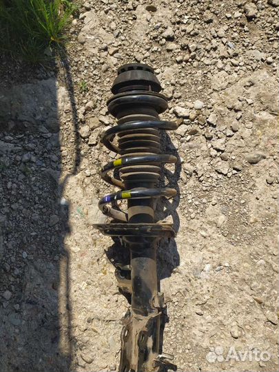 Пружина передняя кио Рио 3