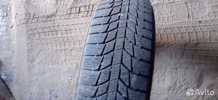 Triangle PL01 185/70 R14 92