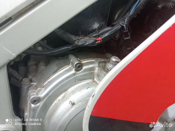 Yamaha FZR 250 (FZR250R, Genesis)