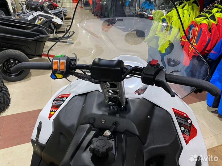 Снегоход stels Ставр MS600 CVTech