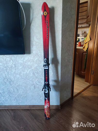 Горные лыжи