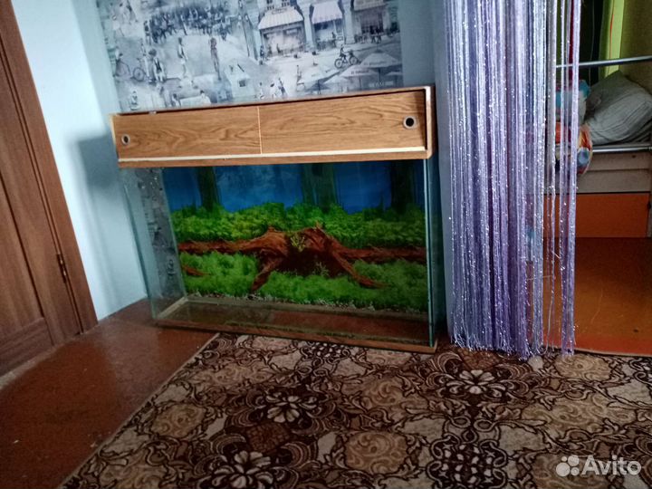 Аквариум