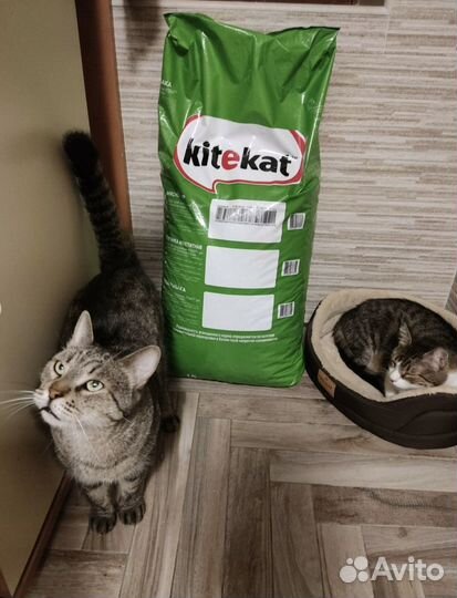 Сухой корм Kitekat для кошек 15кг