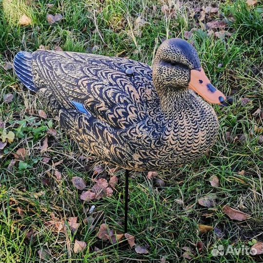 Чучела уток Кряква полевая Softplast