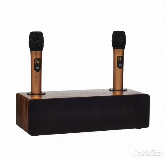 Караоке-система Mojo Pro 2 радио микрофона, 120 Вт