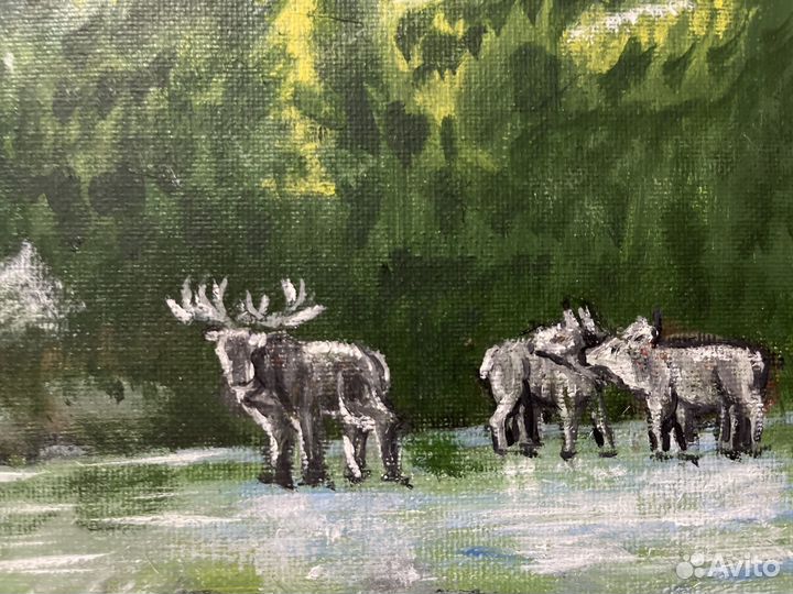 Картина маслом на холсте 30 x 40 Олень в тайге
