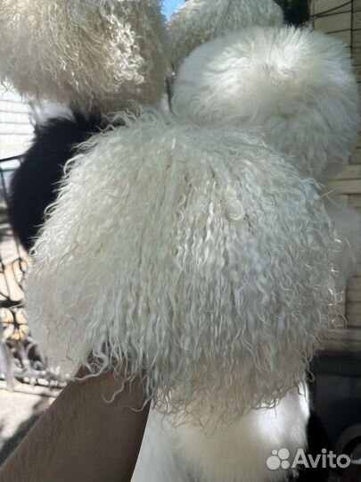 Папаха из козленка