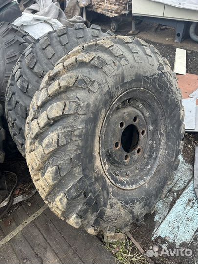 Колеса газ 66 с хранения