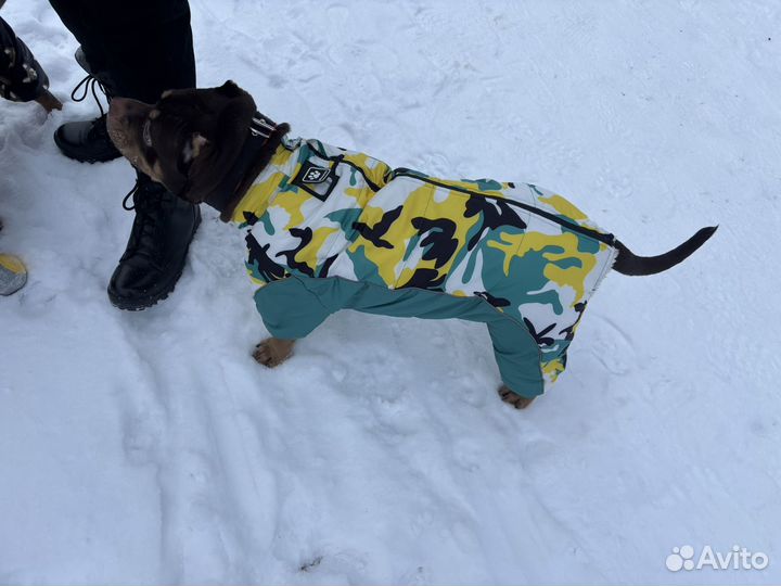 Комбинезон для собак