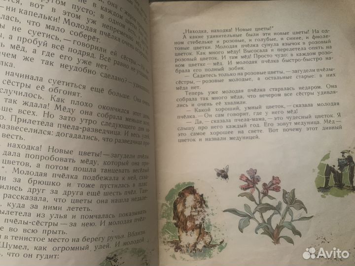 Книга Павлова, Нина Желтый, белый, лиловый/Валерий