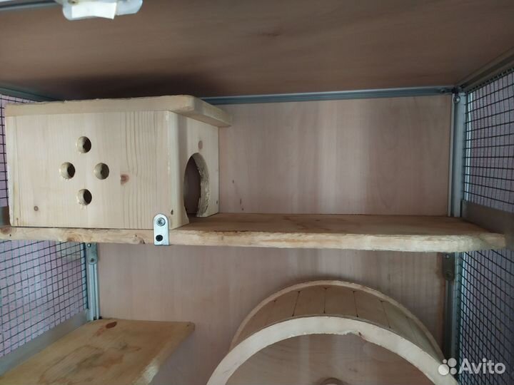 Витрина для шиншилл