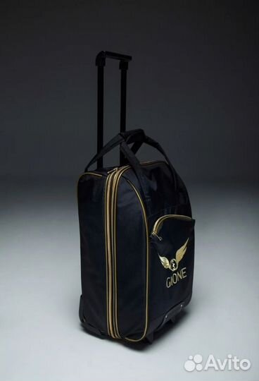 Чемодан Gione