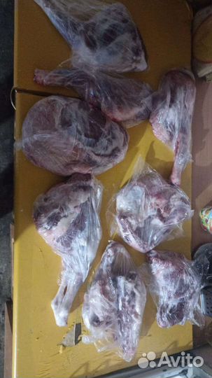 Туша козлятина