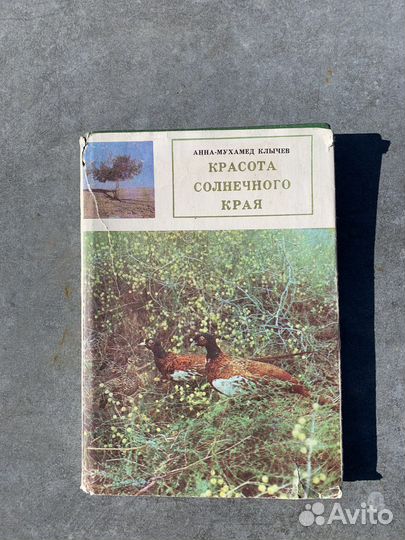 Красота солнечного края