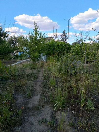 Дача 24 м² на участке 6 сот.