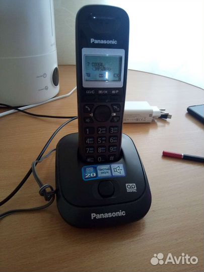 Panasonic