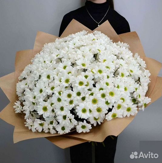 Хризантема