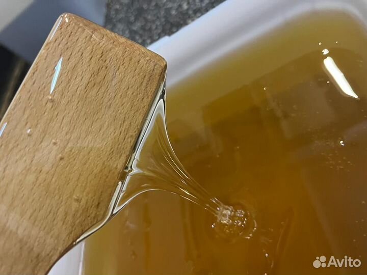 Цветочный свежий мед оптом