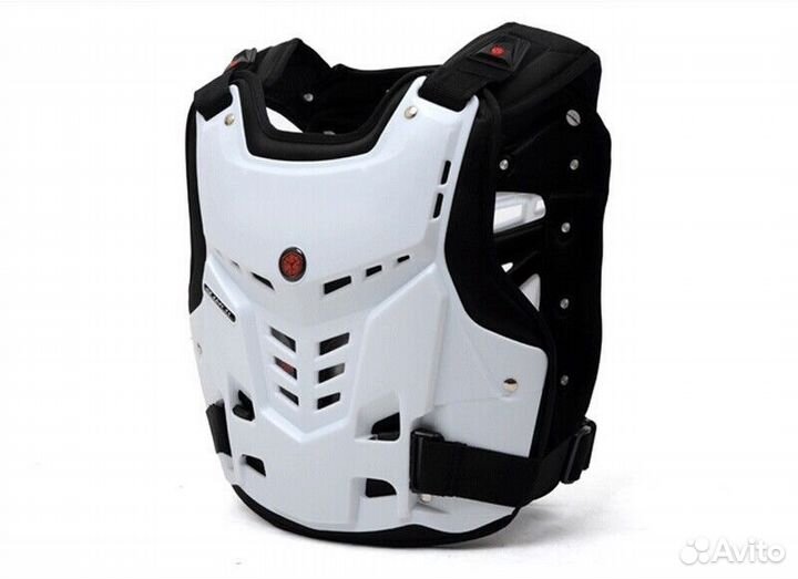 Защита спины dainese