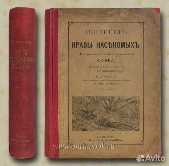 Jean Henri Fab Инстинкт и нравы насекомых 1898 г
